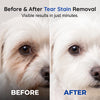 Pet Ionic Spray